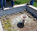 120 костенурки спасени от смърт