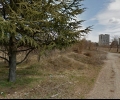 Ограбиха старозагорка на алея в парк