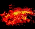 7 бобъра изгоряха за седмица