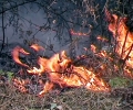 93 пожара в сухи треви са гасили огнеборците от областта през последната седмица