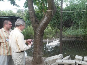 Пред езерото с лебедите - с директора на Спасителния център Ивайло Клисуров.