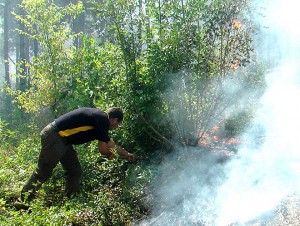 Кметът на Ново село Стоян Стоянов лично участва в гасенето на пожара.