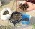 Отровиха 32 кошера пчели на млад стопанин в село Тракия