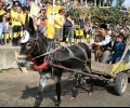 Музеят на магарето в Гурково ще бъде обновен с европари