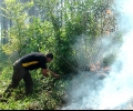 Потушиха втори голям пожар край Стара Загора