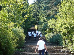 Така изглеждаха стълбите с 890 стъпала, които учениците "превзеха" за по-малко от 5 минути.