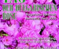 Ден на българската роза организира българското посолство в Берн в навечерието на 24 май