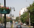 Високо поставени кашпи с цветя украсяват централния булевард в Стара Загора