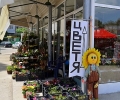 На Еньовден ще бъде открит нов пазар за цветя и нов паркинг в Казанлък