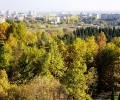 И прокуратурата подхвана казуса 