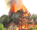 Пожар гори в околностите на Казанлък