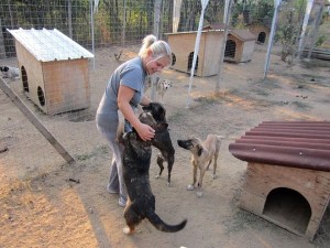 "Пансионът" за бездомни животни на Ивелина Недкова в Казанлък