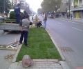 Продължава есенната кампания по озеленяването на Стара Загора. Полагат тревни чимове на главната улица