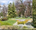 Пролетното зацветяване и коситбата на парковете в Стара Загора започнаха