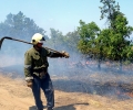 Пожароопасен летен сезон 2014 г. област Стара Загора – превенция и мерки за обезопасяване на горите и земеделски площи от пожари