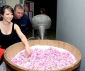 В Регионалния исторически музей гостува изложбата 