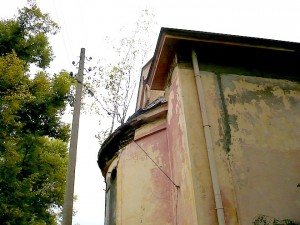 На покрива на банята от години расте брезичка