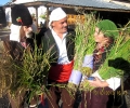 Кулинарни шедьоври и добро настроение обещават организаторите на Празника на ориза в старозагорското село Християново
