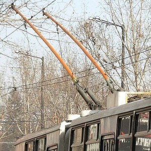 Troleibus pantogr 365