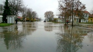 Днес в Раднево. Снимка Ирина Димова