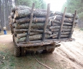 Тежки камиони на дърводобивни фирми разбиват пътищата в и между селата, алармират кметове на села