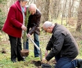 Посадиха 12 кипариса от Света гора на  „Аязмото“