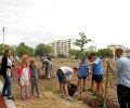 20 липи засади на 20 май Граждански клуб ЛИПА в новия парк на Стара Загора