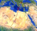 На 4000 км от дома - белошипи ветрушки от новосъздадената колония в Сакар зимуват в Чад и Нигер