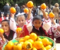 В старозагорското село Хрищени организираха деветия празник на райската ябълка