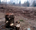 От