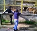 Районна прокуратура - Стара Загора разпореди проверка по сигнали за насилие над животни в зоопарка в града