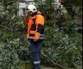 Паднали клони и скъсани жици причини силният вятър в Стара Загора