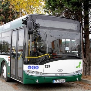 avtobus gradski 365