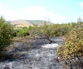 Втори голям пожар изпепели 250 дка лозя и градини в местността 