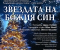 Светлините на коледната елха в Стара Загора грейват на 6 декември