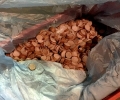 2353 кг замразени колбаси предлагат на търг от ТД на НАП Пловдив