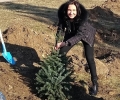 Старозагорският омбудсман Надежда Чакърова засади елха от приемната си на алеята с живи коледни дръвчета