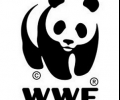 WWF търси алтернативи на въгледобива в Перник и Бобов дол
