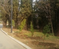 С нови 240 дръвчета обогатяват парк „Митрополит Методий Кусев“ 