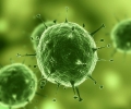 В лабораторията в Стара Загора днес е потвърдена една положителна проба за коронавирус - на 61-годишен мъж от Казанлък