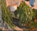 Окръжна прокуратура – Стара Загора привлече като обвиняеми шестима мъже за държане на 79,5 кг марихуана с цел разпространение