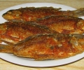 В Стара Загора „Фестивал на рибата - вкусно и полезно“ във вторник, 20 октомври