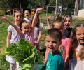 „Вкусна градинка“ сътвориха деца и родители в Стара Загора