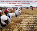 Осми фолклорен празник на житото ще се проведе в старозагорското село Преславен