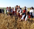 Празник на пшеницата в старозагорското село Пшеничево - събота, 3 юли