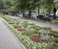 25 хиляди нови цветя ще красят Стара Загора