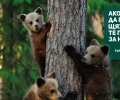 WWF стартира кампания, която насърчава търсенето на продукти с етикета FSC