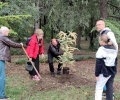 Старозагорка засади 50 дървета в Аязмото за юбилея си