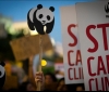COP26: Световните лидери се разбраха за обезлесяването и метана