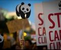 COP26: Световните лидери се разбраха за обезлесяването и метана